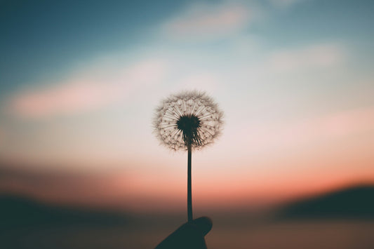 De la exigencia a la presencia: un viaje hacia la excelencia consciente