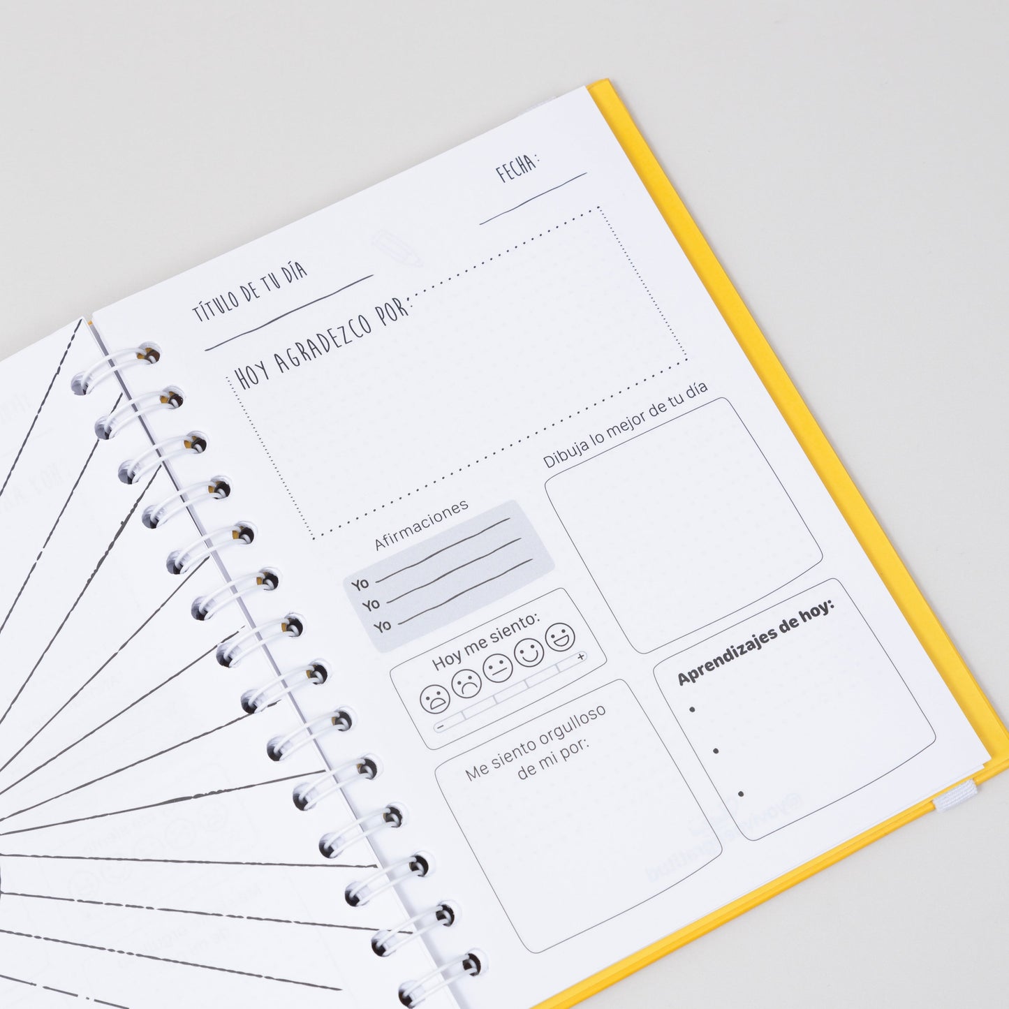 Diario de Gratitud para Niños