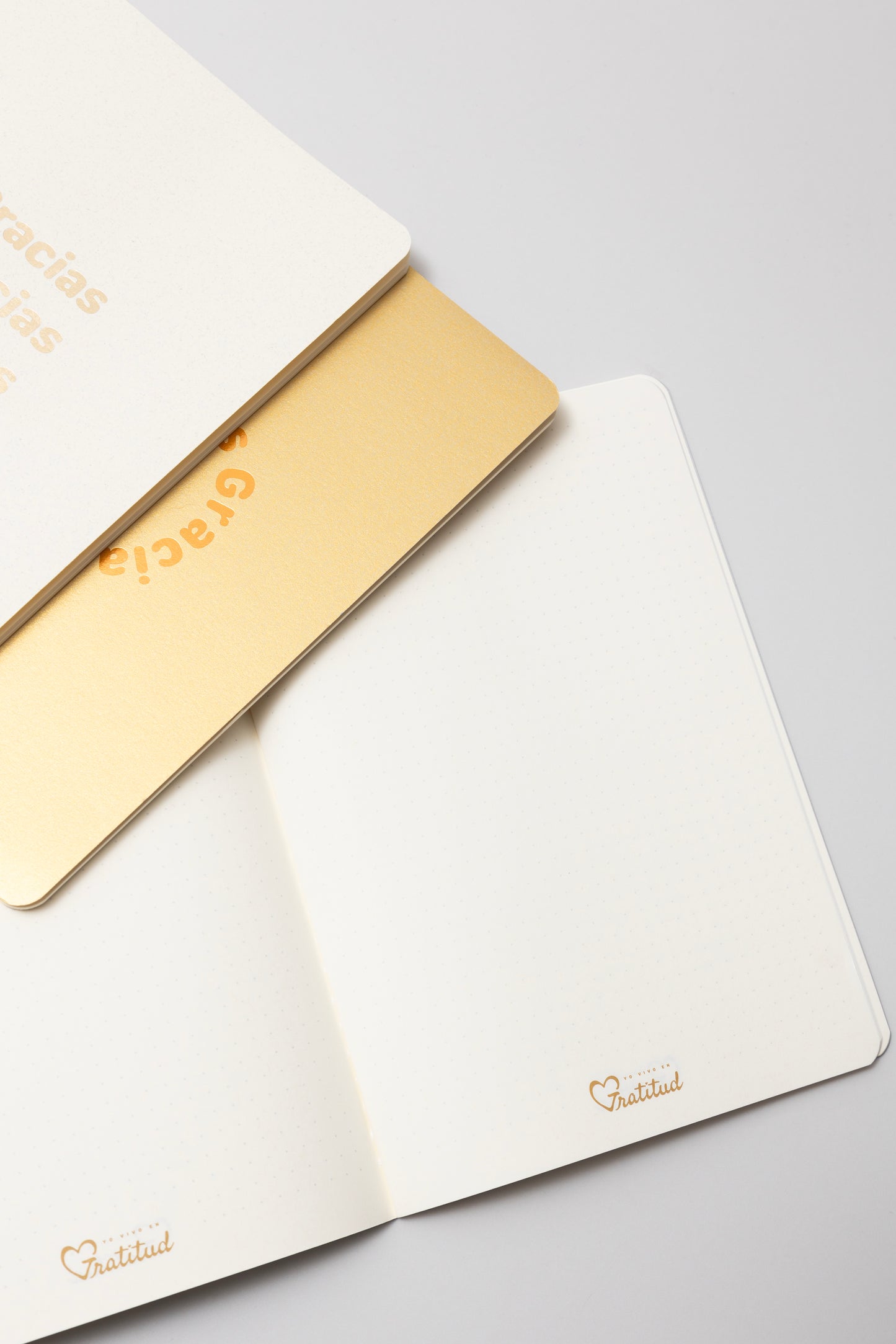 Cuadernos: Todo comienza aqui