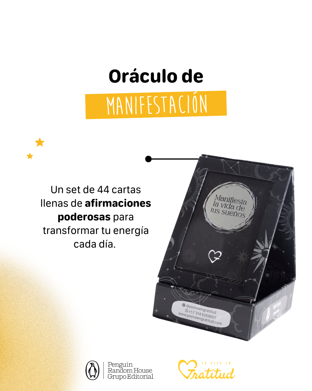 Cajita Misteriosa (UNIDADES LIMITADAS)