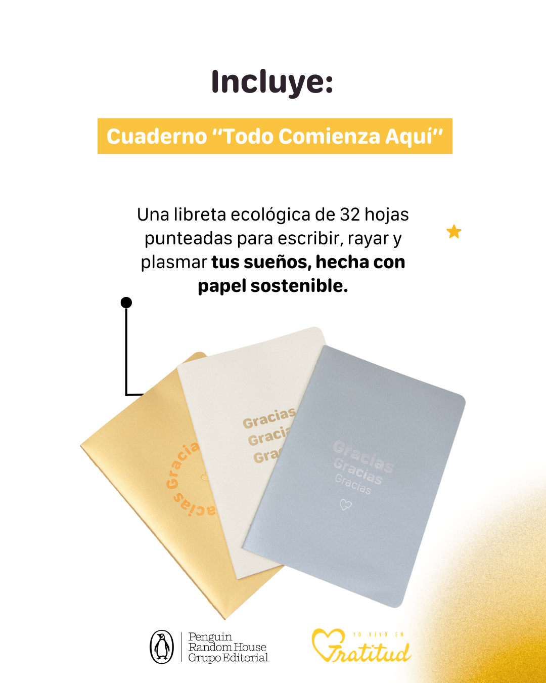 Cajita Misteriosa (UNIDADES LIMITADAS)