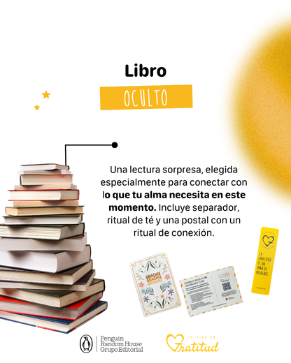 Cajita Misteriosa (UNIDADES LIMITADAS)